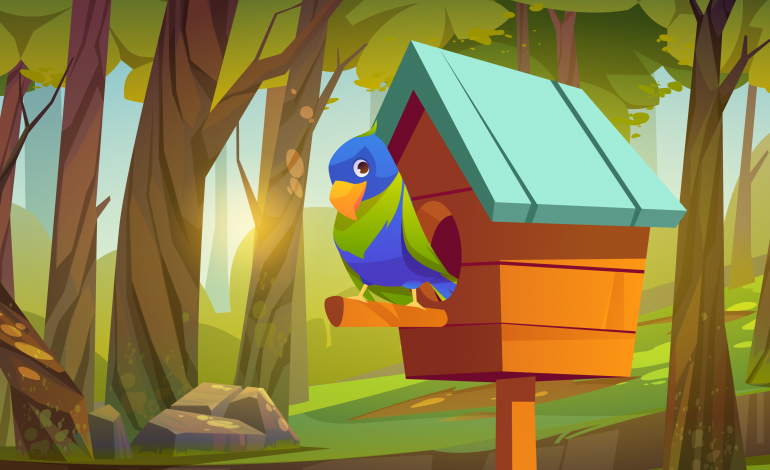 kolorowy ptak siedzący na karmniku
